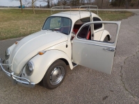 1966 Volkswagen Beetle for sale in Michigan (ID-136284)