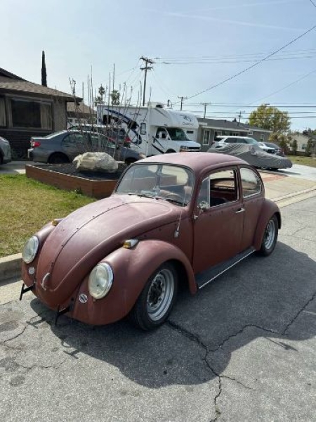 1966 Volkswagen Beetle for sale in Michigan (ID-139243)