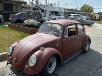 1966 Volkswagen Beetle for sale in Michigan (ID-139243)