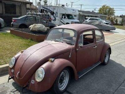 1966 Volkswagen Beetle for sale