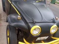 1966 Volkswagen Beetle for sale in Michigan (ID-142947)
