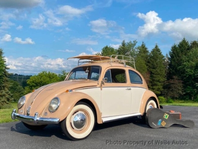1966 Volkswagen Beetle for sale