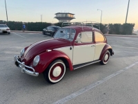 1966 Volkswagen Beetle for sale in Michigan (ID-160977)