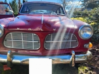 1966 Volvo Amazon for sale in Michigan (ID-126369)