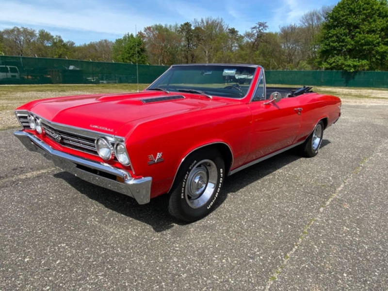 1967 Chevrolet Chevelle for sale in Riverhead, New York (ID-80120)