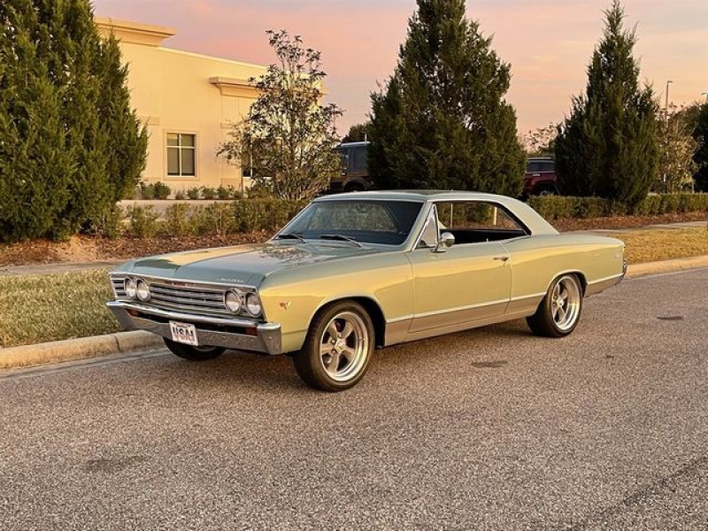 1967 Chevrolet Chevelle for sale in Riverhead, New York (ID-86604)