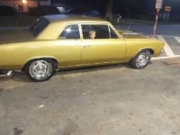 1967 Chevrolet Chevelle for sale in Michigan (ID-88710)