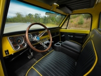 1967 Chevrolet C10 for sale in Pottsville, Pennsylvania (ID-145355)