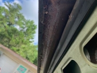 1967 Ford Mustang for sale in Michigan (ID-92139)