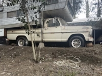 1967 Ford F250 for sale in <br>Orange County, California (ID-113388)