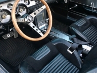 1967 Ford Mustang for sale in Birmingham, Alabama (ID-124123)