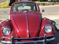 1967 Volkswagen Beetle for sale in Medford, Oregon (ID-107237)