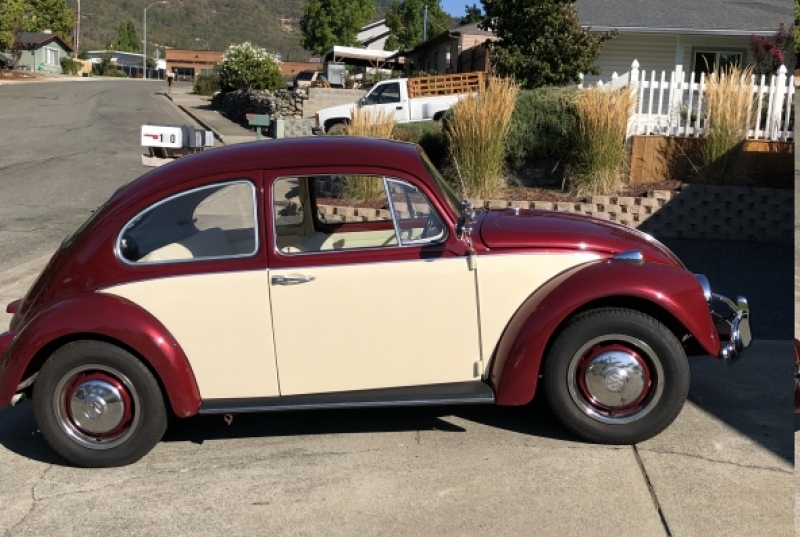 1967 Volkswagen Beetle for sale in Medford, Oregon (ID-107237)