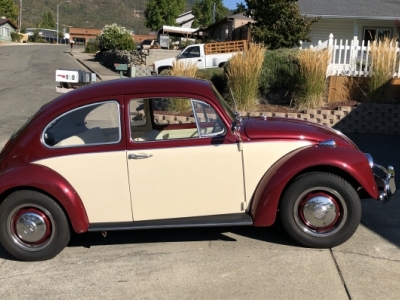 1967 Volkswagen Beetle for sale in Oregon