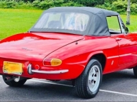 1967 Alfa Romeo Spider for sale in Michigan (ID-144764)
