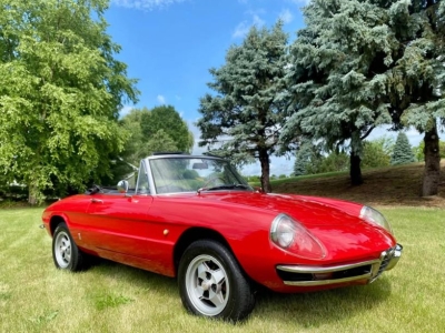 1967 Alfa Romeo Spider for sale 1967 Alfa Romeo Spider for sale
