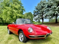 1967 Alfa Romeo Spider for sale (ID-144817)
