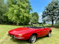 1967 Alfa Romeo Spider for sale (ID-144817)