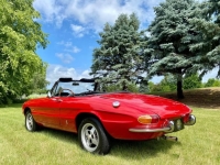 1967 Alfa Romeo Spider for sale (ID-144817)