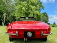 1967 Alfa Romeo Spider for sale (ID-144817)