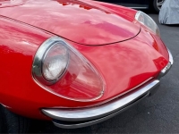 1967 Alfa Romeo Spider for sale (ID-144817)