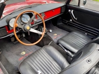1967 Alfa Romeo Spider for sale (ID-144817)