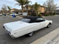 1967 Buick Skylark for sale in Michigan (ID-126391)