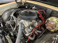 1967 Buick Skylark for sale in Michigan (ID-145676)