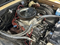 1967 Buick Skylark for sale in Michigan (ID-145676)