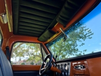 1967 Chevrolet C10 for sale in Michigan (ID-130154)