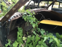 1967 Chevrolet Camaro for sale in Midlothian, Texas (ID-114212)