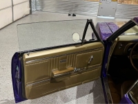 1967 Chevrolet Camaro for sale in Michigan (ID-123330)