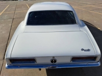 1967 Chevrolet Camaro for sale in Michigan (ID-125665)