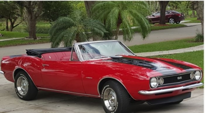 1967 Chevrolet Camaro for sale (ID-101130) 1967 Chevrolet Camaro for sale (ID-101130)