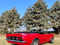 1967 Chevrolet Camaro for sale (ID-155524)