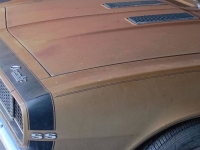 1967 Chevrolet Camaro for sale in Michigan (ID-163108)