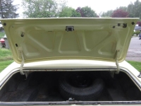 1967 Chevrolet Camaro for sale in Michigan (ID-163591)