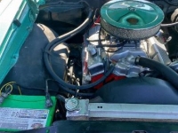 1967 Chevrolet Chevelle for sale in Michigan (ID-96099)