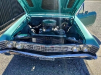 1967 Chevrolet Chevelle for sale in Michigan (ID-96099)