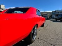 1967 Chevrolet Chevelle for sale in Michigan (ID-111939)
