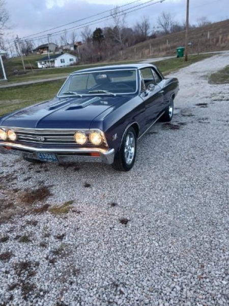 1967 Chevrolet Chevelle for sale in Michigan (ID-113951)