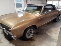1967 Chevrolet Chevelle for sale in Michigan (ID-114258)