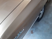 1967 Chevrolet Chevelle for sale in Michigan (ID-114258)