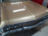1967 Chevrolet Chevelle for sale in Michigan (ID-114258)