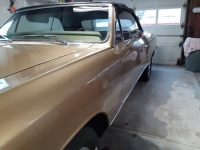 1967 Chevrolet Chevelle for sale in Michigan (ID-114258)