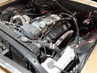 1967 Chevrolet Chevelle for sale in Michigan (ID-114258)