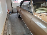 1967 Chevrolet Chevelle for sale in Michigan (ID-114258)