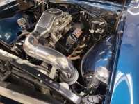 1967 Chevrolet Chevelle for sale in Michigan (ID-115518)