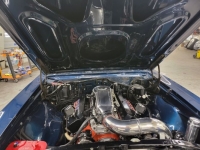 1967 Chevrolet Chevelle for sale in Michigan (ID-115518)