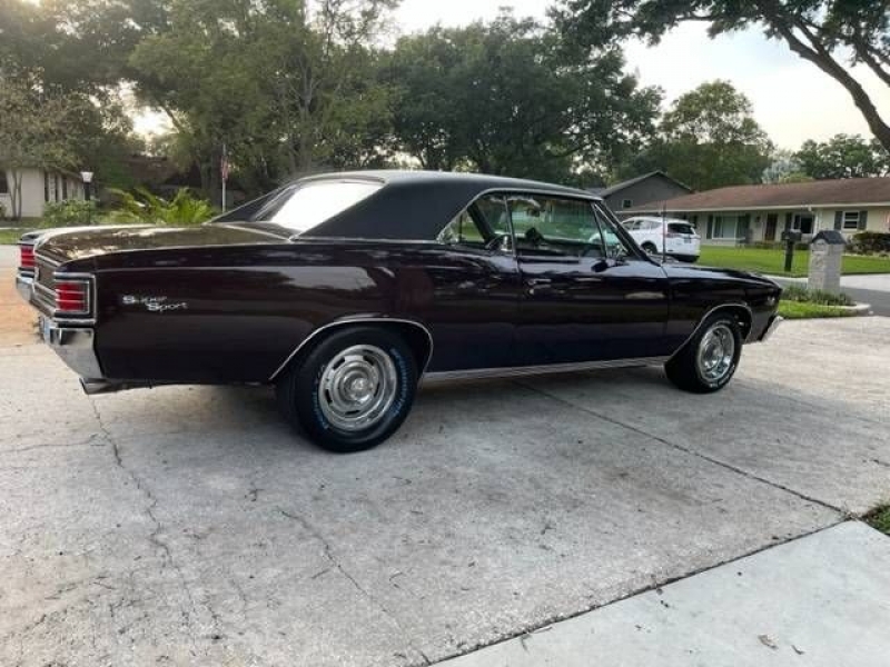 1967 Chevrolet Chevelle for sale in Michigan (ID-118446)